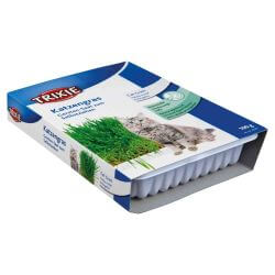 Bac d'herbe à chat, bol/env. 100 g