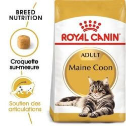 MAINE COON ADULT 4KG