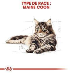 MAINE COON ADULT 4KG