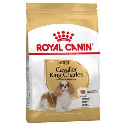 CAVALIER KING CHARLES ADULT 3KG