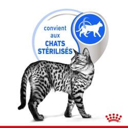 Royal Canin Sterilised Pâtée en mousse 12x85g