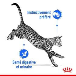 Royal Canin Sterilised Pâtée en mousse 12x85g