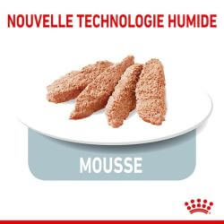 Royal Canin Sterilised Pâtée en mousse 12x85g