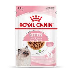Royal Canin Kitten en sauce 12x85g