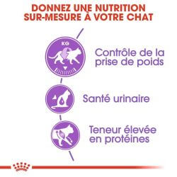 Royal Canin Chat Sterilised 37 2KG