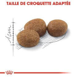 Royal Canin Chat Sterilised 37 2KG