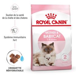Royal Canin Babycat 34