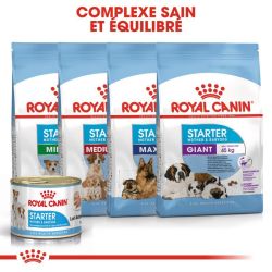 Royal Canin Boîte Starter Mousse