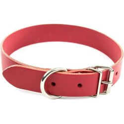 COLL CUIR 10-31CM ROUGE