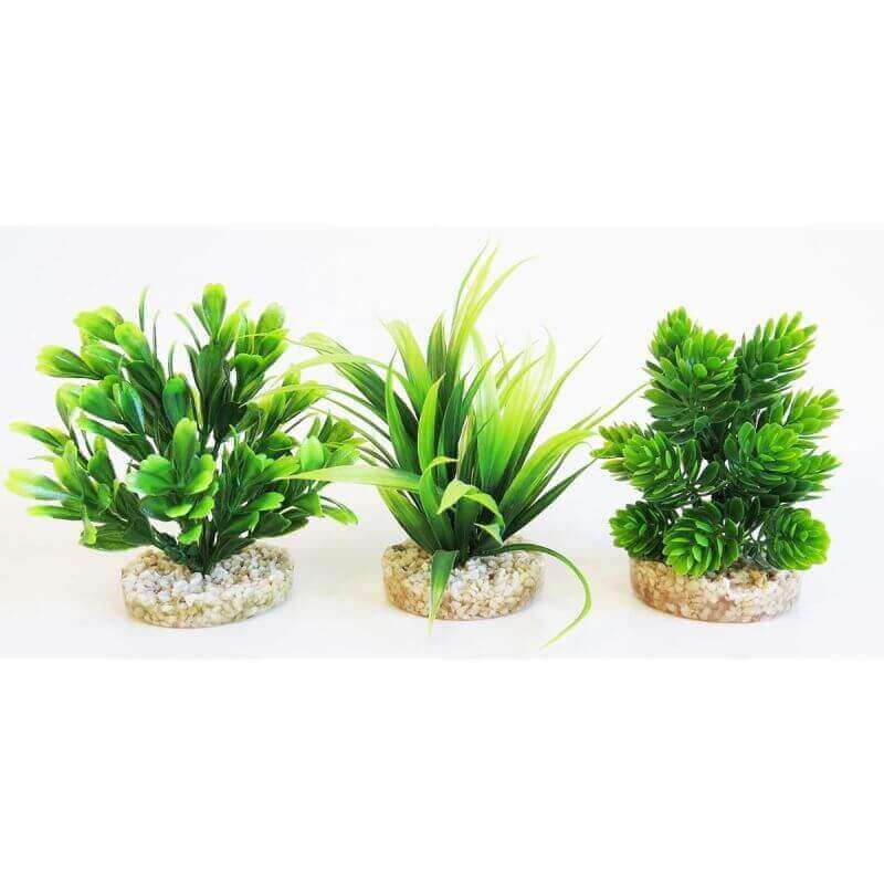 MAGIC AQUA NATURALS SYDECO MAGIC AQUA NATURALS SYDECO