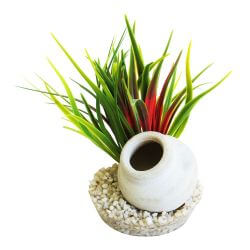 SYDECO JARRE GAULOISE - PLANTES POUR AQUARIUM