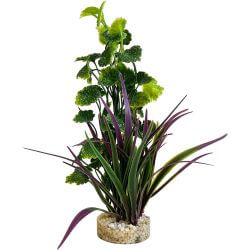 TYROL ARCHE PLANTE 21 CM AQUA