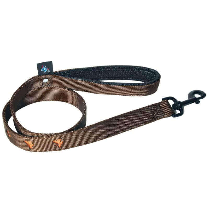LAISSE 16-100 PAPILLON ORA