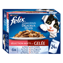 FELIX Délicieux Duos en Gelée Mixte 24x85g