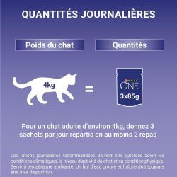 PURINA ONE Chat Adulte Poulet Bœuf 4x85g