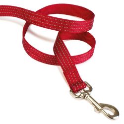 Laisse nylon rouge - 2,5 x 120 cm
