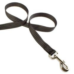 Laisse nylon noir - 2,5 x 120 cm