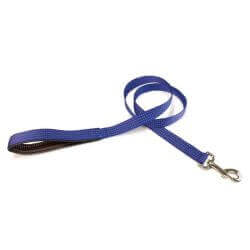 Laisse nylon bleu - 2,5 x 120 cm