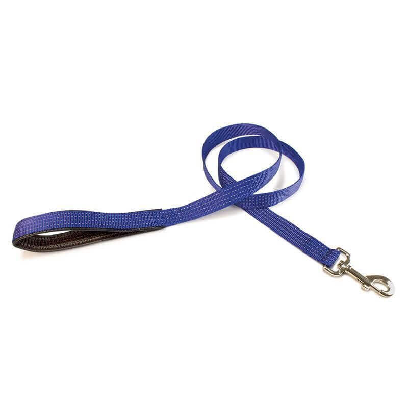 Laisse nylon bleu - 2,5 x 120 cm Laisse nylon bleu - 2,5 x 120 cm