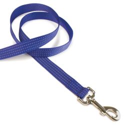 Laisse nylon bleu - 2,5 x 120 cm