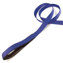 Laisse nylon bleu - 2,5 x 120 cm