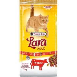 Lara Adult Goût de Bœuf 2kg