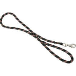 Laisse nylon corde 6 mètres