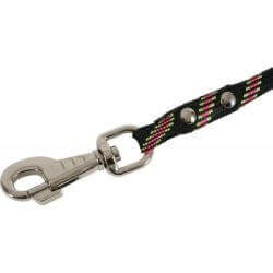 Laisse nylon corde 6 mètres