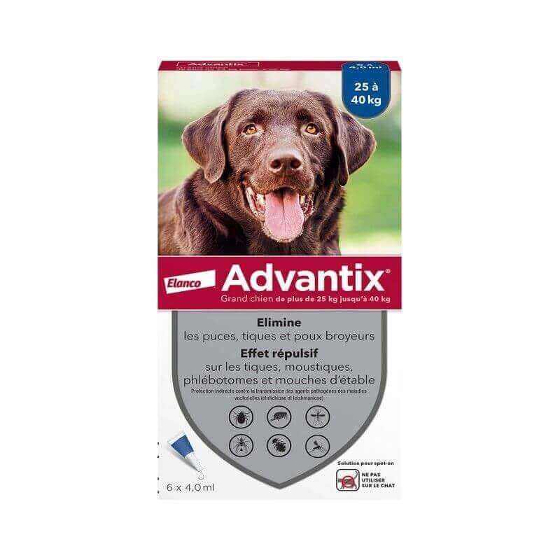 ADVANTIX GRAND CHIEN 6 PIPETTES