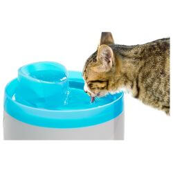 Fontaine à eau électrique pour chat - 2L
