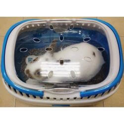 Panier de transport Aladino Medium