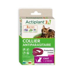 ACTIPLANT3 COLLIER CHAT ROSE