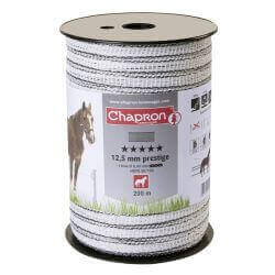 RUBAN PRESTIGE 12.5 MM BLANC- 200M