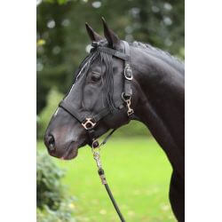 PROTEC FRONTAL FRANGES VELCRO HB, NOIR, PUR SANG