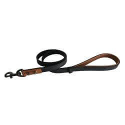 LAISSE HERCULE 18 TU