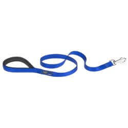 LAISSE DAYTONA G20/120 BLEU