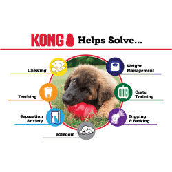 KONG Classic S
