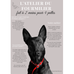 Collier pour Chien bleu en matière BioThane®, Largeur 19mm , taille XXS