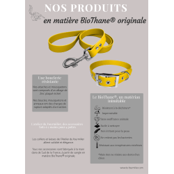 Collier pour Chien bleu en matière BioThane®, Largeur 19mm , taille XXS