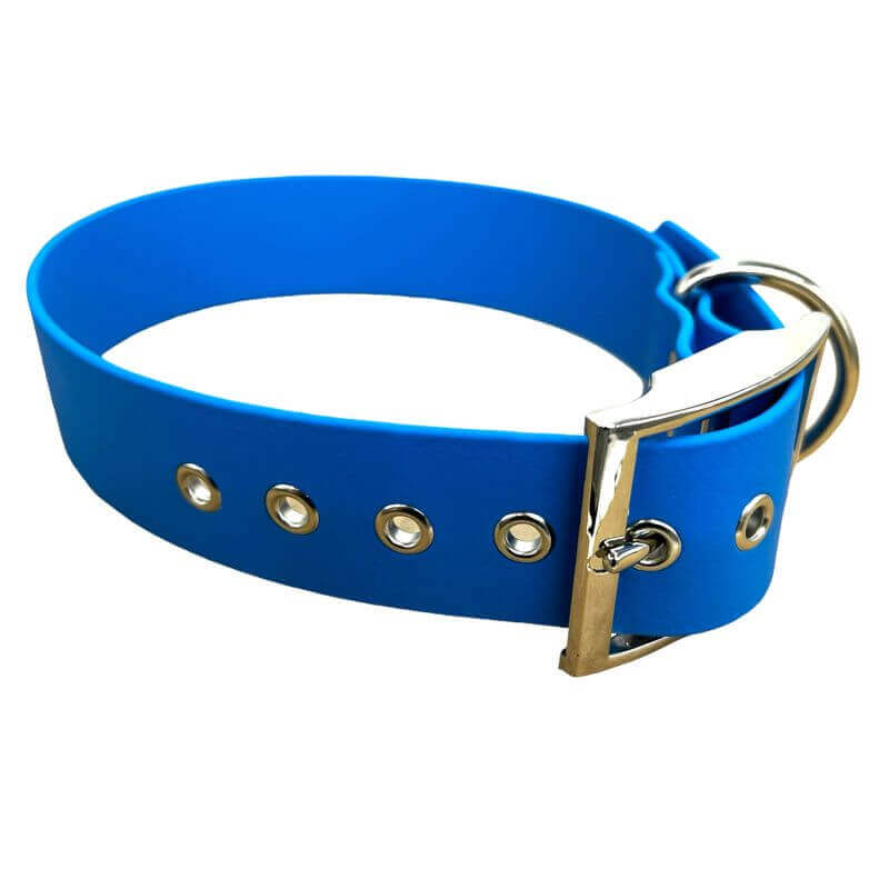 Collier pour Chien bleu en matière BioThane®, Largeur 38mm , taille M