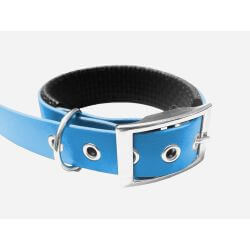 Collier pour Chien rembourré bleu en matière BioThane®, Largeur 25mm , taille L