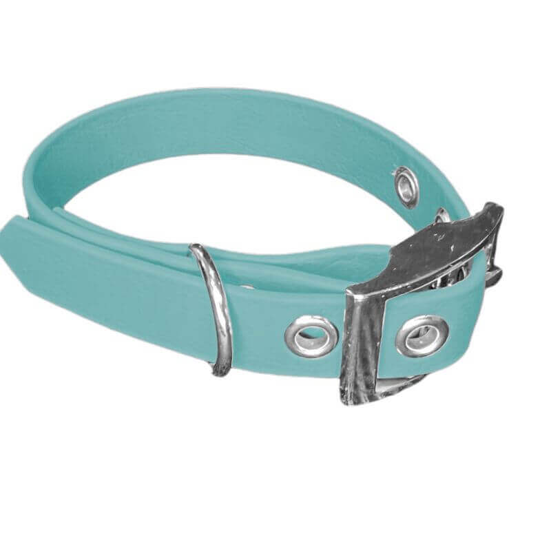 Collier pour Chien Teal en matière BioThane®, Largeur 19mm , taille XS
