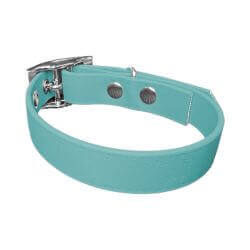 Collier pour Chien Teal en matière BioThane®, Largeur 19mm , taille XS