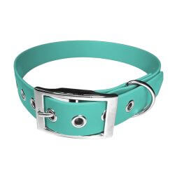 Collier pour Chien Teal en matière BioThane®, Largeur 25mm , taille XL