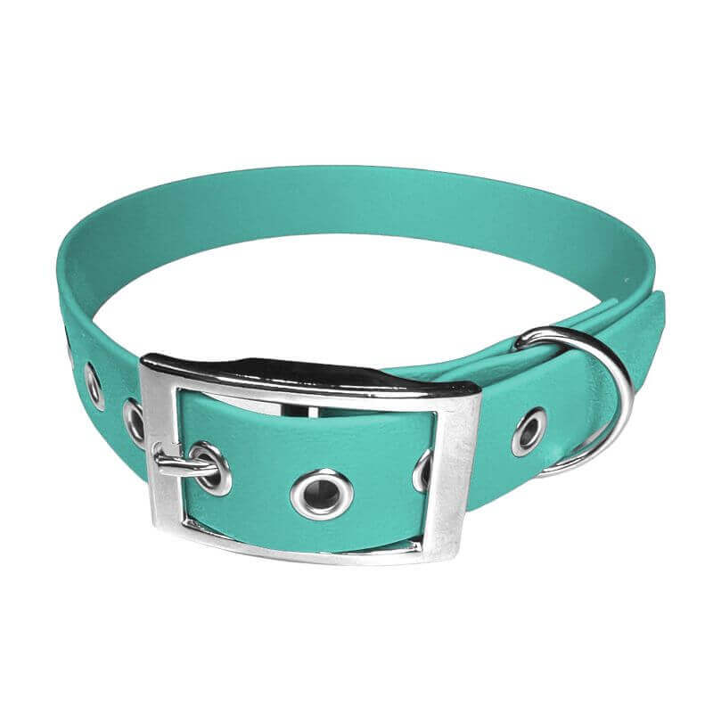 Collier pour Chien Teal en matière BioThane®, Largeur 25mm , taille XL