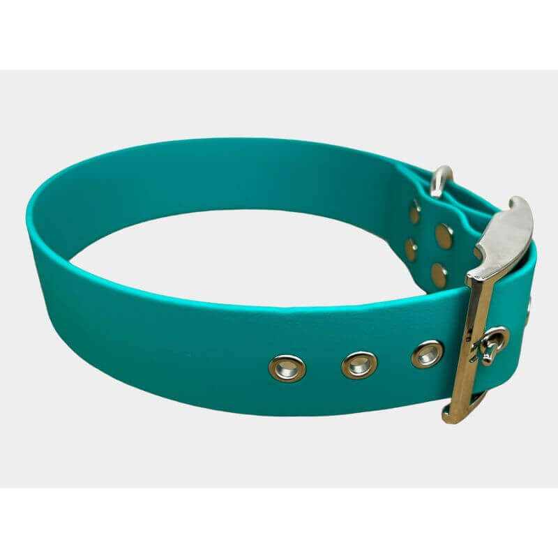 Collier pour Chien Teal en matière BioThane®, Largeur 38mm , taille XL