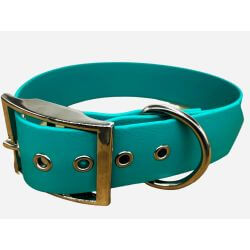 Collier pour Chien Teal en matière BioThane®, Largeur 38mm , taille XL