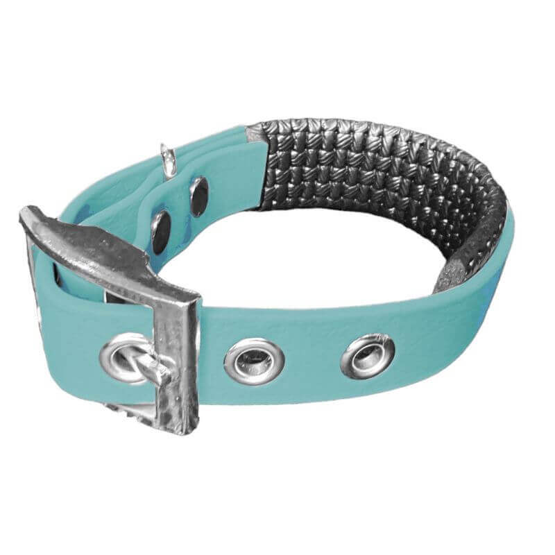 Collier pour Chien rembourré Teal en matière BioThane®, Largeur 19mm , taille XXS