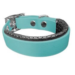 Collier pour Chien rembourré Teal en matière BioThane®, Largeur 19mm , taille XXS
