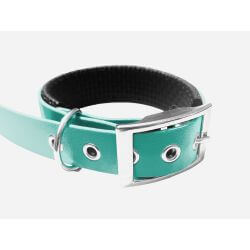 Collier pour Chien rembourré Teal en matière BioThane®, Largeur 25mm , taille M
